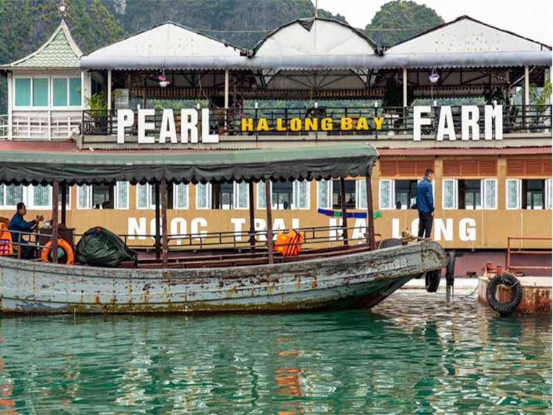 Tung Sau Pearl Farm